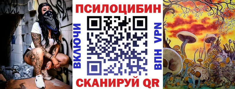 купить   Кировград  Псилоцибиновые грибы Cubensis 